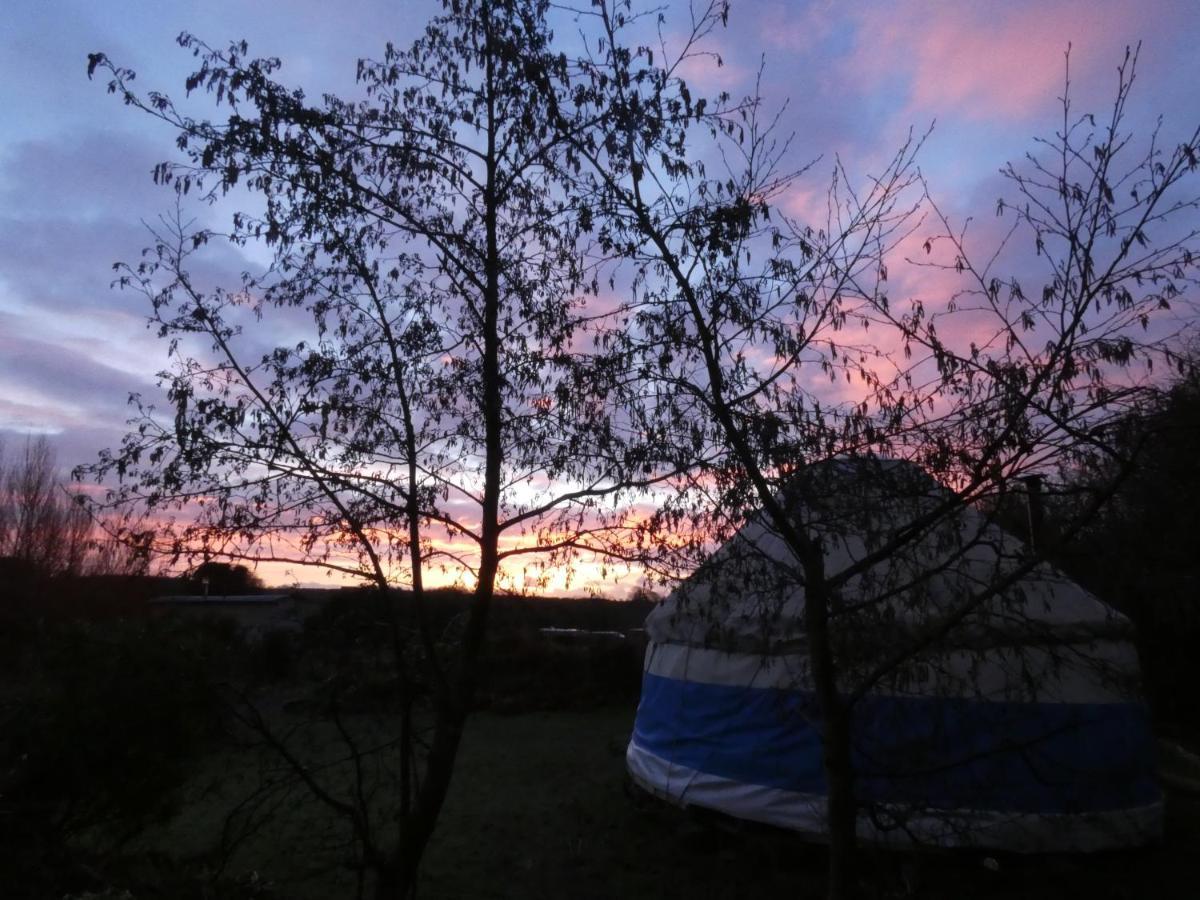 Inch Hideaway Eco Camping Whitegate (Cork) Exterior foto