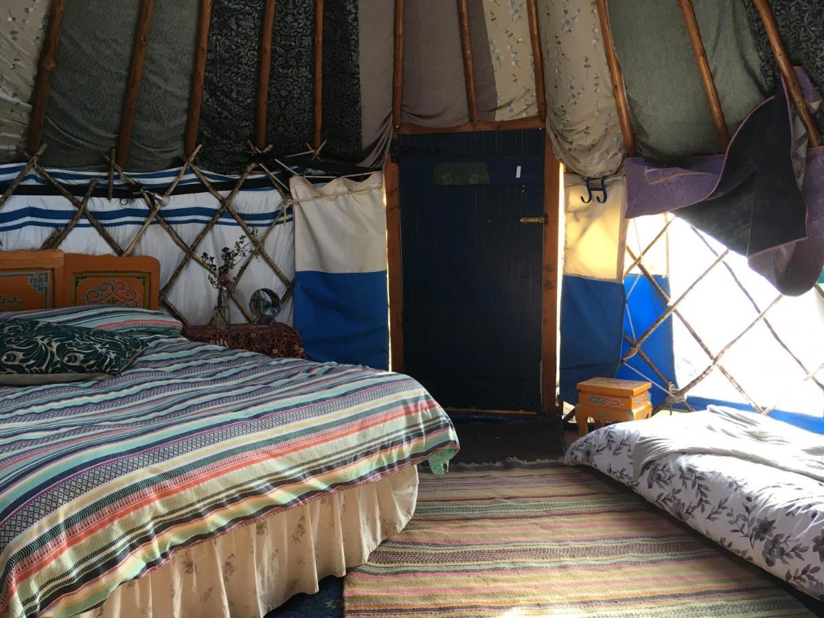 Inch Hideaway Eco Camping Whitegate (Cork) Exterior foto