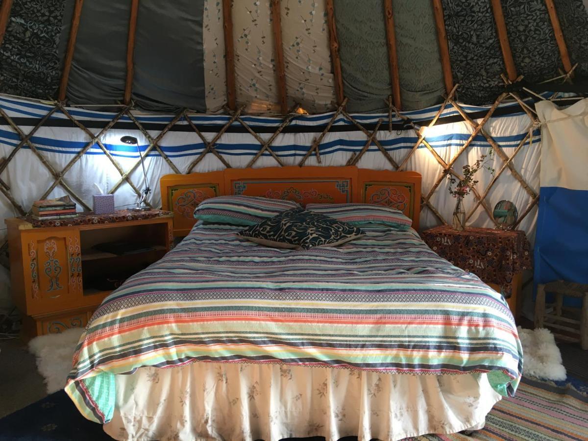 Inch Hideaway Eco Camping Whitegate (Cork) Exterior foto