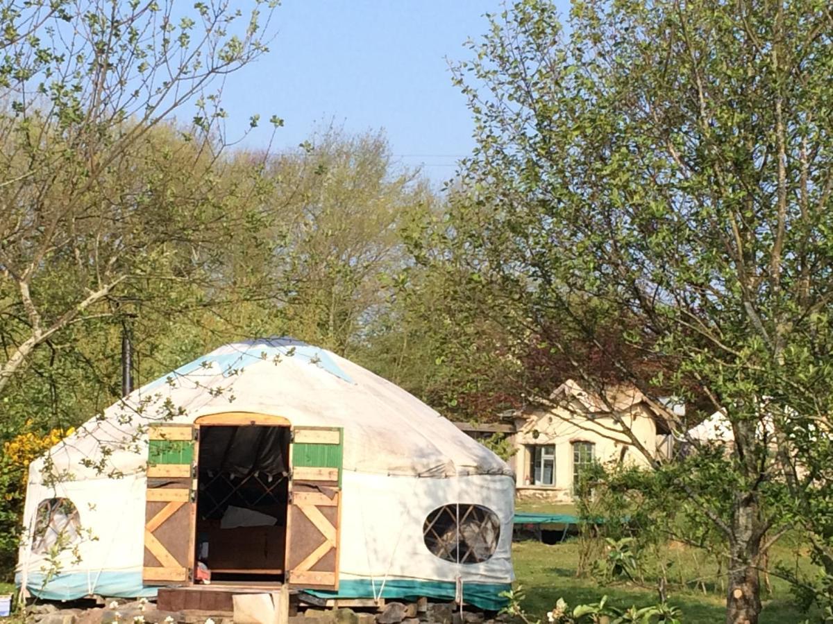 Inch Hideaway Eco Camping Whitegate (Cork) Exterior foto