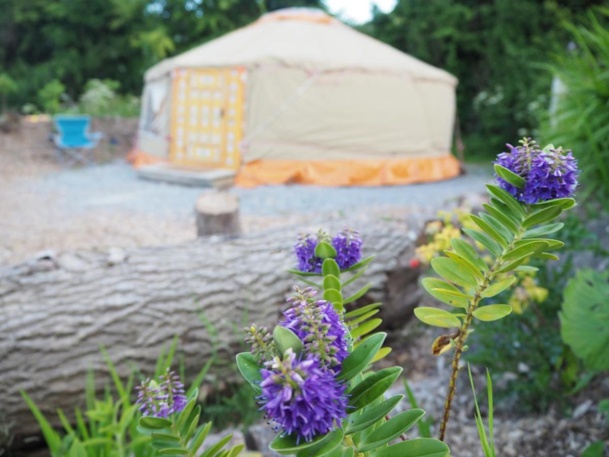 Inch Hideaway Eco Camping Whitegate (Cork) Exterior foto