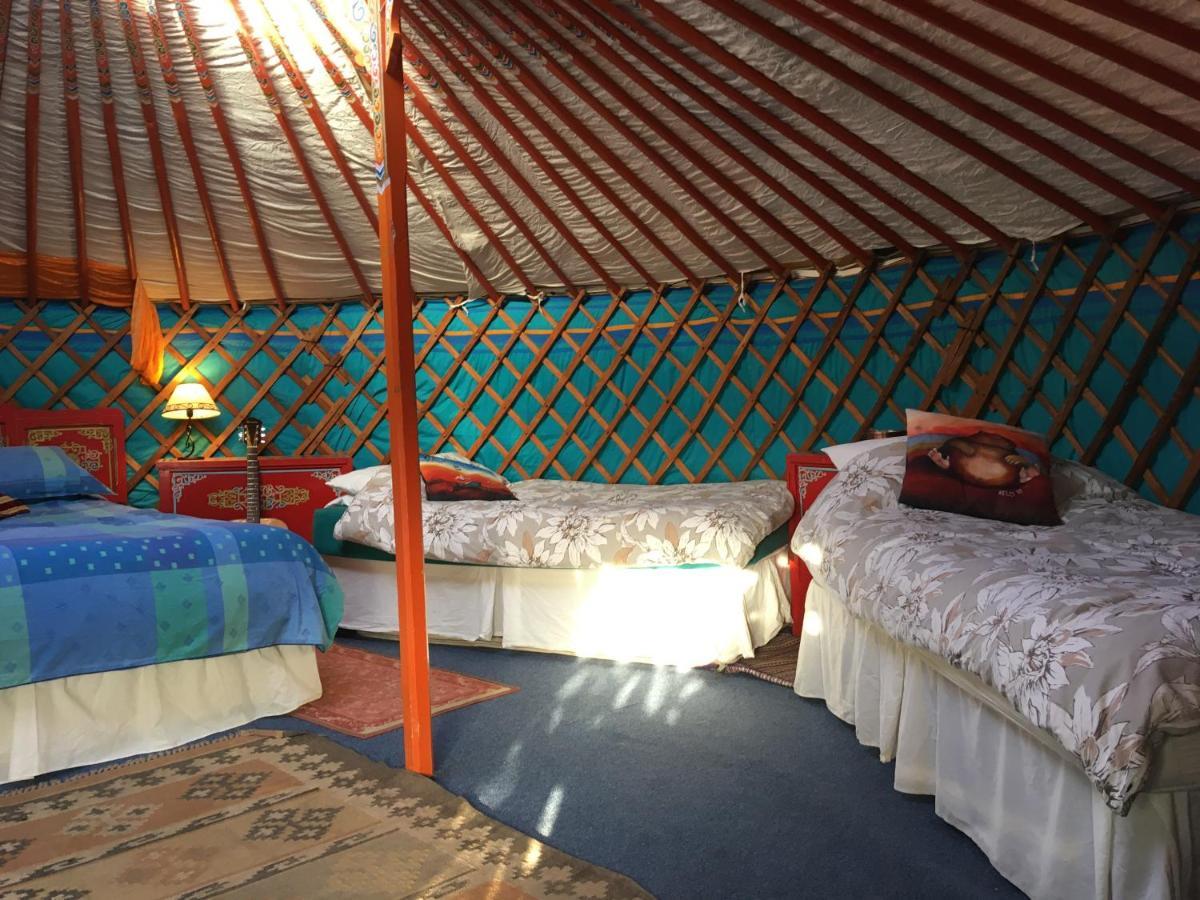 Inch Hideaway Eco Camping Whitegate (Cork) Exterior foto